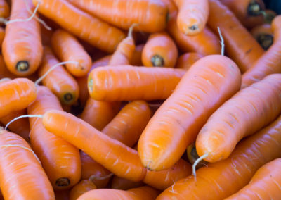Freshly harvested carrots being washed and cleaned for market.